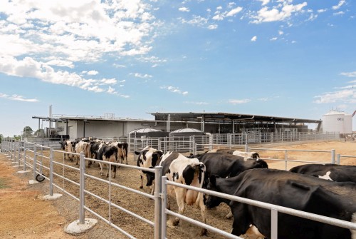 Cadell Training Centre- New Dairy Complex